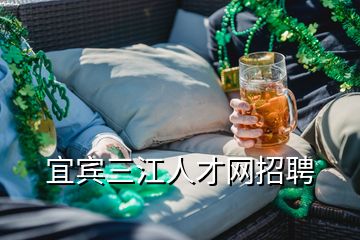 宜賓三江人才網(wǎng)招聘