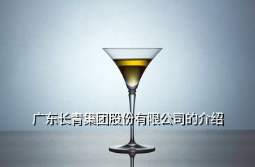 廣東長青集團(tuán)股份有限公司的介紹