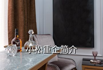 小松重企簡(jiǎn)介