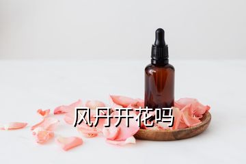 風(fēng)丹開花嗎