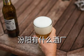 汾陽(yáng)有什么酒廠