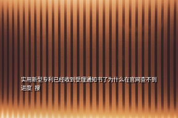 實用新型專利已經(jīng)收到受理通知書了為什么在官網(wǎng)查不到進(jìn)度  搜