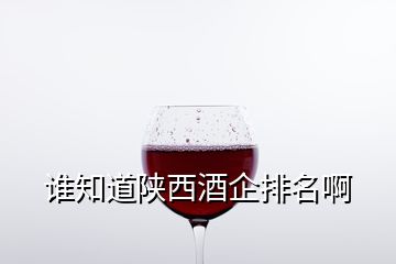 誰(shuí)知道陜西酒企排名啊