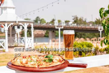 想知道 煙臺(tái)市 從萊山鎮(zhèn)到煙臺(tái)泉源食品有限公司怎么坐公交