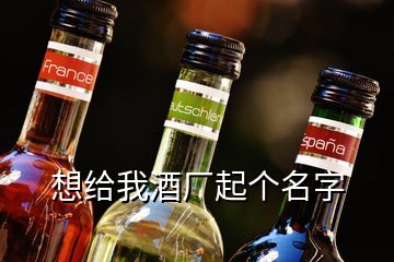 想給我酒廠(chǎng)起個(gè)名字