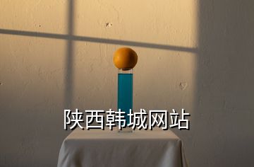 陜西韓城網(wǎng)站