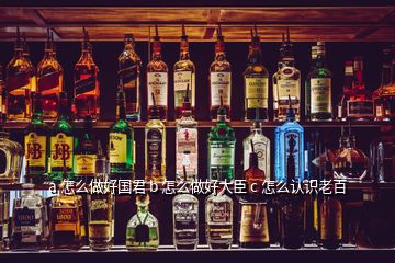 a 怎么做好國君 b 怎么做好大臣 c 怎么認(rèn)識老百