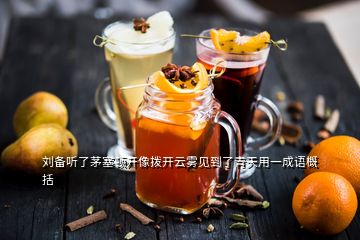 劉備聽了茅塞頓開像撥開云霧見到了青天用一成語概括