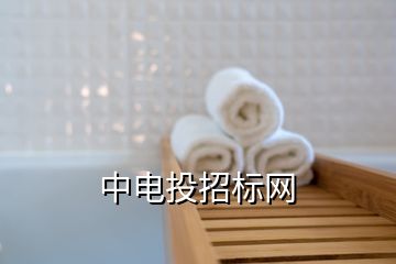 中電投招標(biāo)網(wǎng)