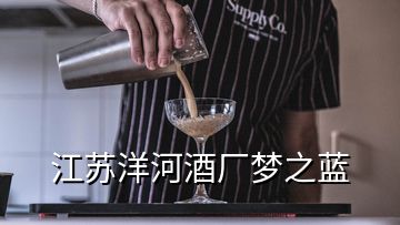 江蘇洋河酒廠夢之藍(lán)