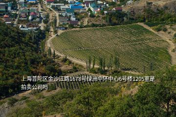 上海普陀區(qū)金沙江路1678號(hào)綠洲中環(huán)中心6號(hào)樓1205室是拍賣公司嗎