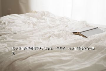 那天我在電視里看見大興采育有個(gè)葡萄酒廠可以在那儲(chǔ)存自己做的