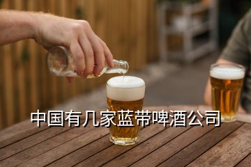 中國(guó)有幾家藍(lán)帶啤酒公司