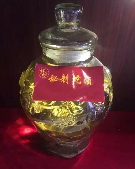 三蛇酒多少錢一瓶，龍山三蛇酒價格表