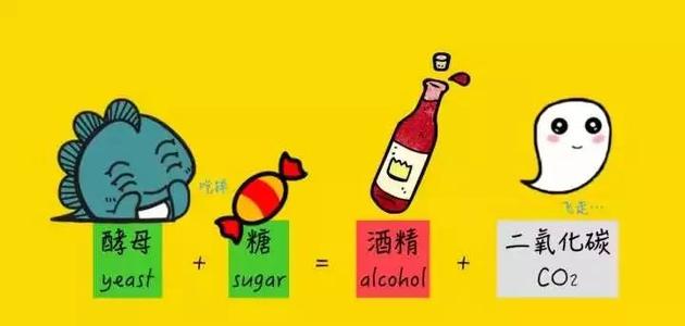 紅酒多少度？是什么影響紅酒的度數(shù)？