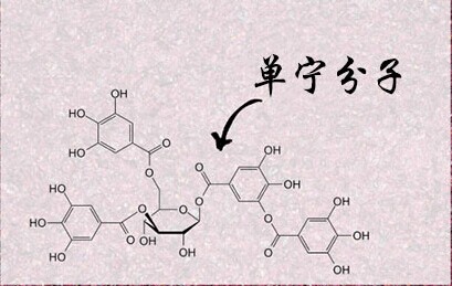 紅酒單寧是什么意思？不同紅酒中的單寧含量是多少？