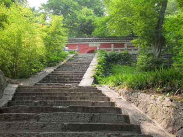 古道酒價格(古道風酒價格)