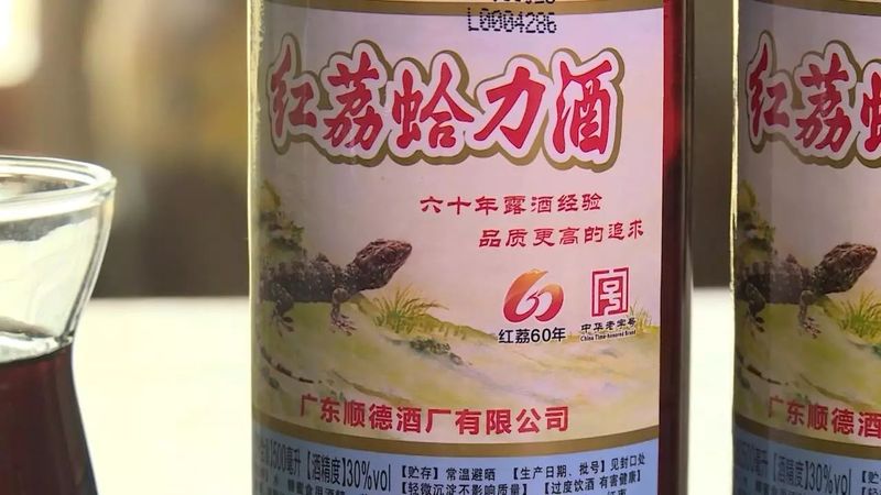 紅荔蛤力酒怎么樣(紅荔牌蛤力酒)