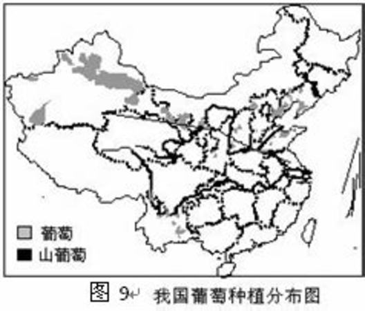 屬于國家一類保護(hù)動(dòng)物的是,我國葡萄種植始于哪個(gè)朝代