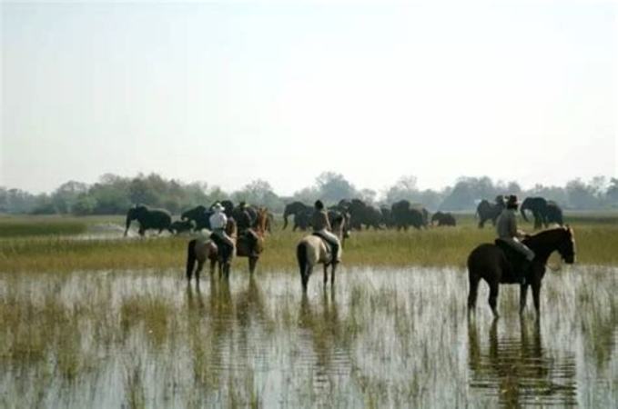 沙灣·紅酒公園·再進(jìn)南山,紅酒上的風(fēng)景圖是什么樣的