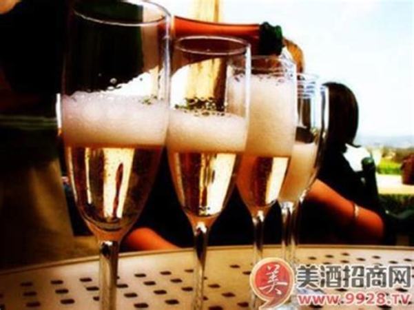 起泡葡萄酒打開后如何保存,開啟后的葡萄酒怎么儲(chǔ)存