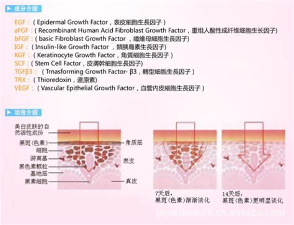 勁酒為什么不上市,中國(guó)勁酒為什么不能喝