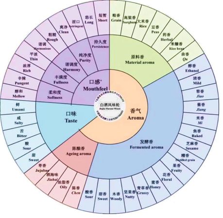 白酒風(fēng)味輪(白酒風(fēng)味輪是什么)