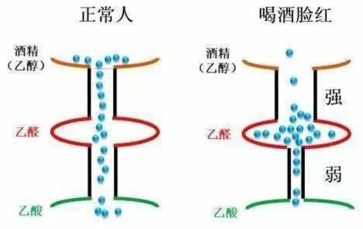 酒量大的人不在其中,關鍵詞